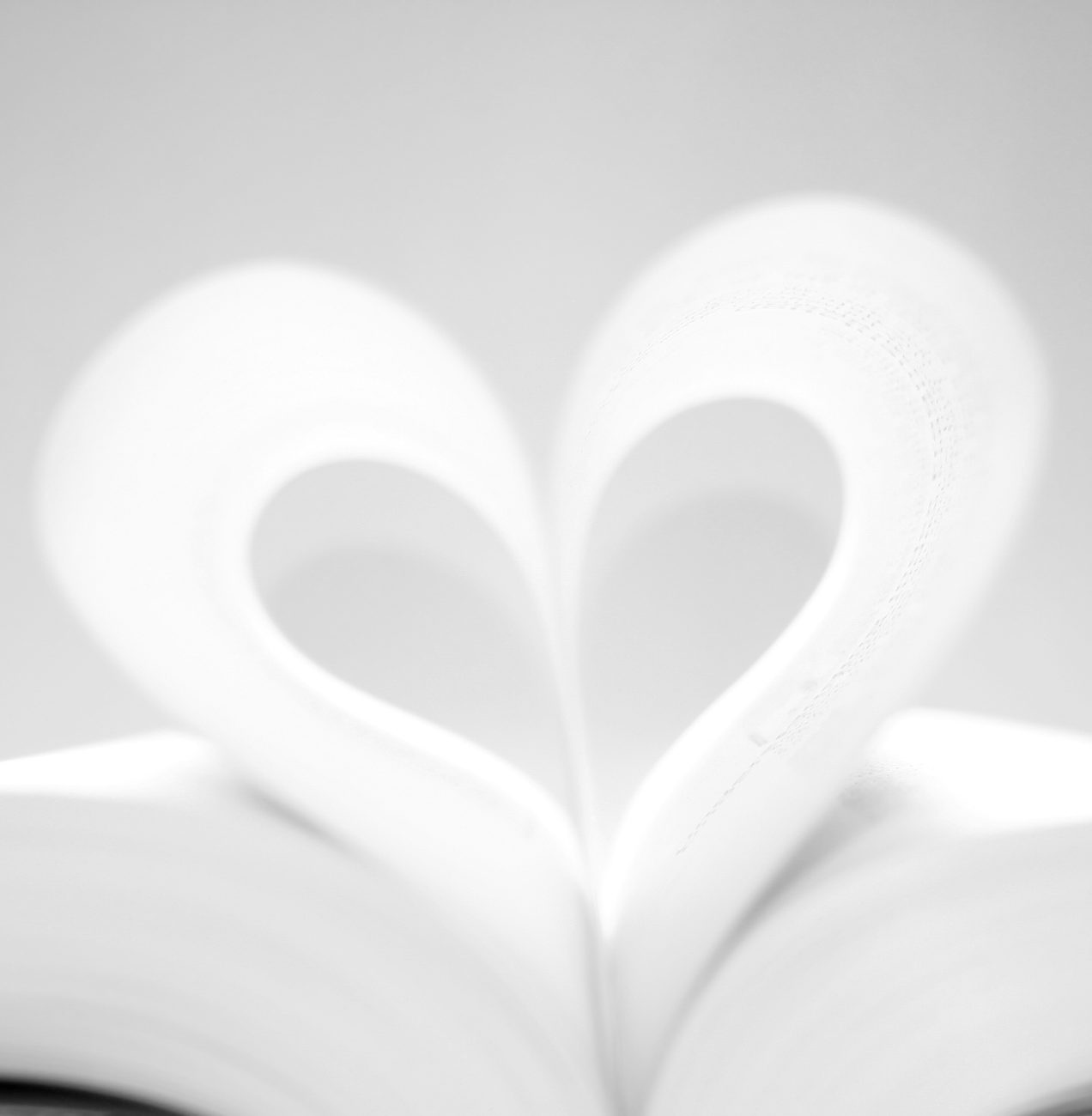 Comité lecture «Parlons-en !»