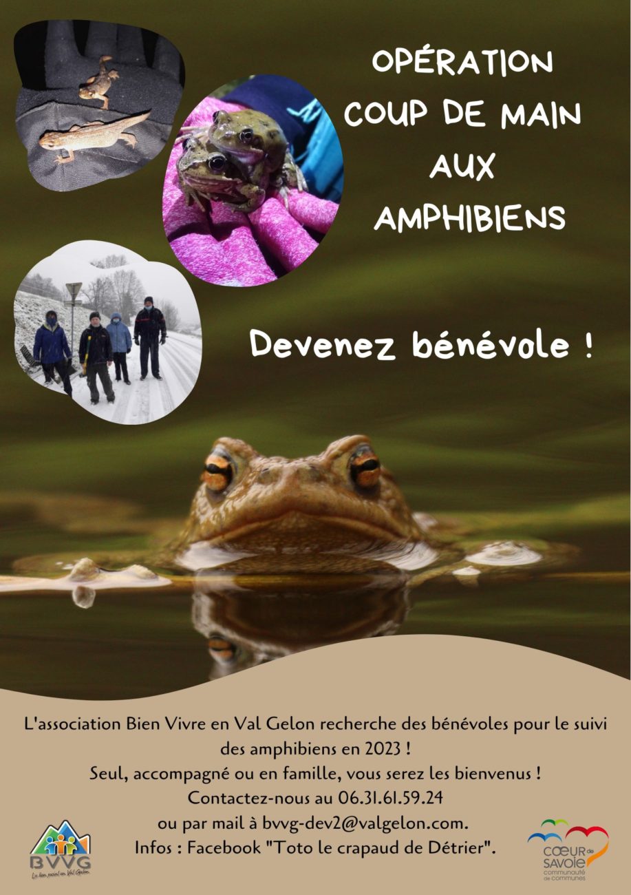 Appel aux bénévoles pour « Coup de main aux Amphibiens »