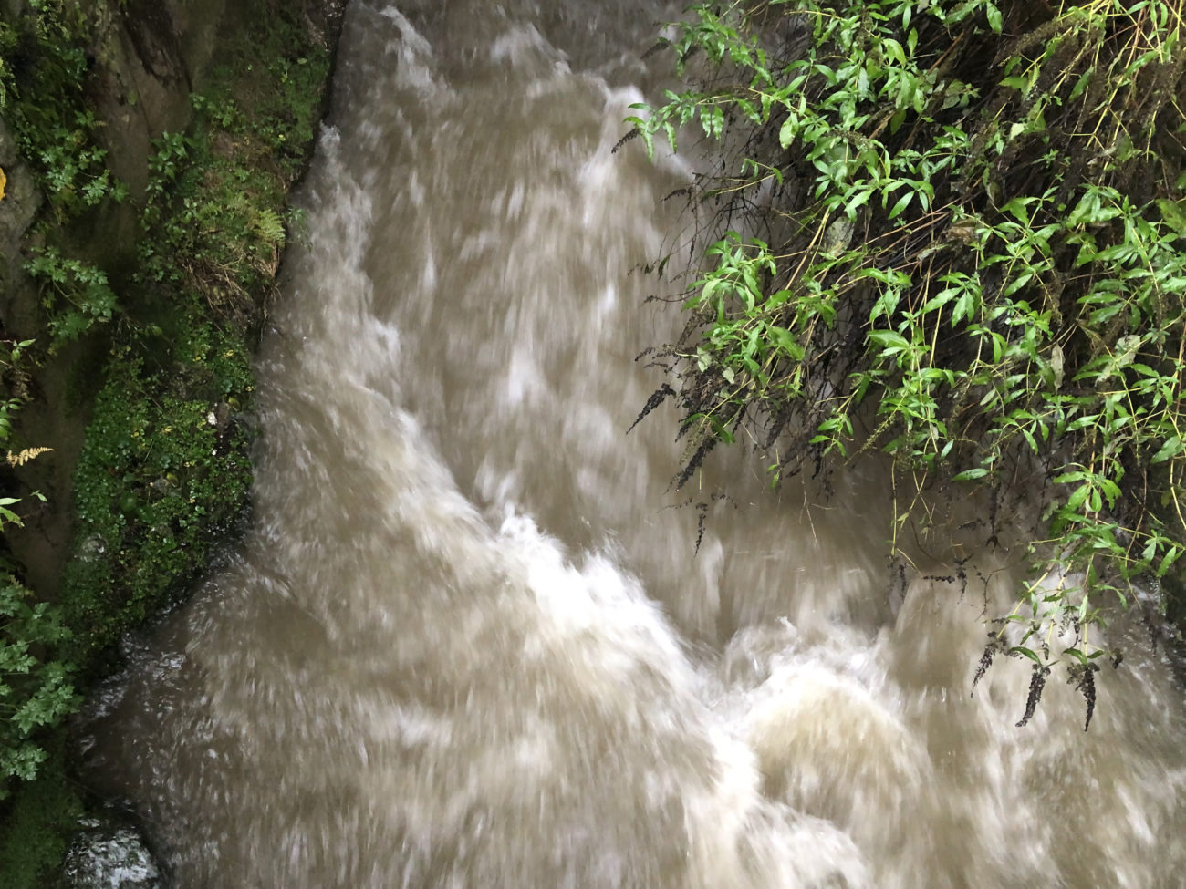 ALERTE : CRUES / PLUIE-INONDATION