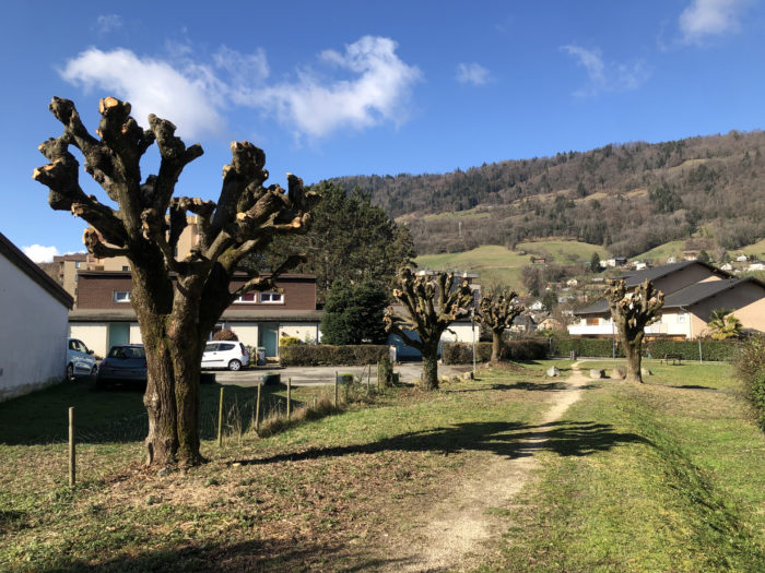 RAFRAÎCHISSEMENT AU CLOS DES AJONCS