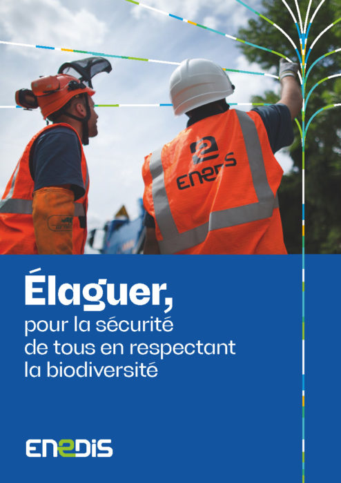 Travaux d’élagage en cours