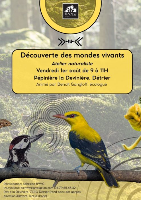 ATELIER NATURALISTE