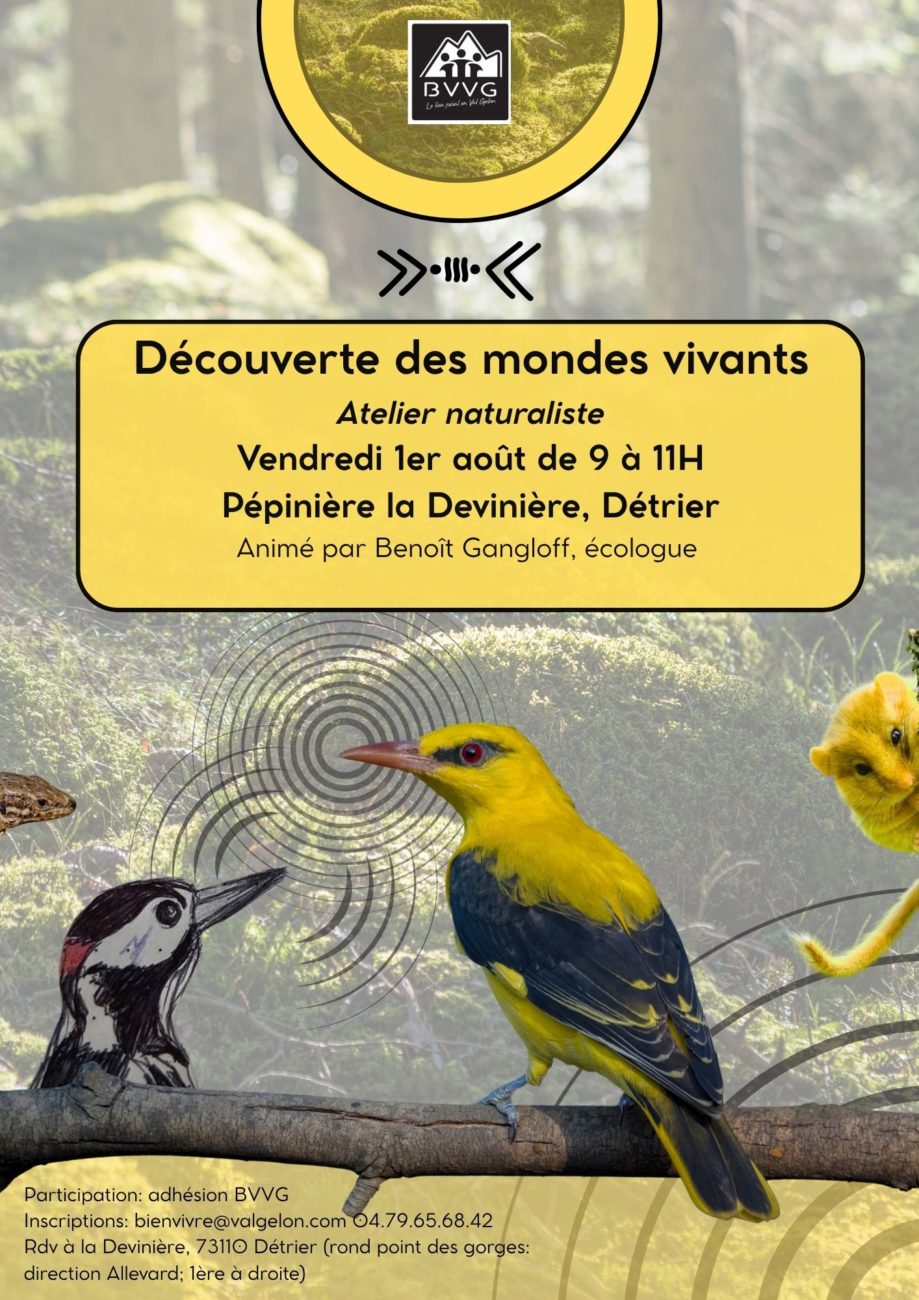 ATELIER NATURALISTE
