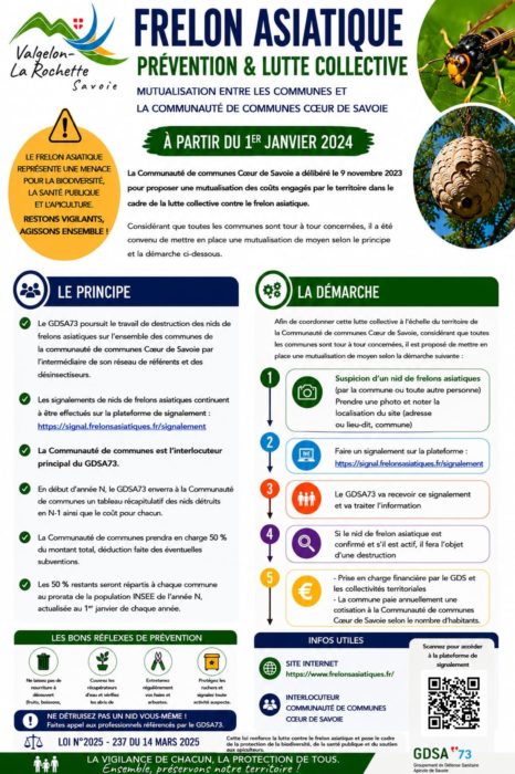 🐝 FRELON ASIATIQUE : RESTONS VIGILANTS !